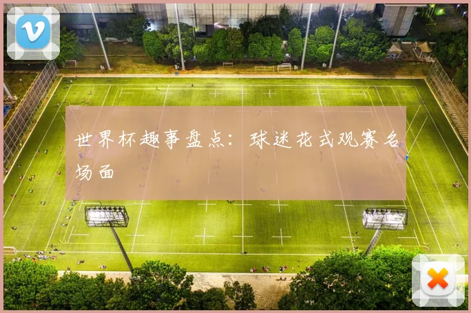 世界杯趣事盘点：球迷花式观赛名场面