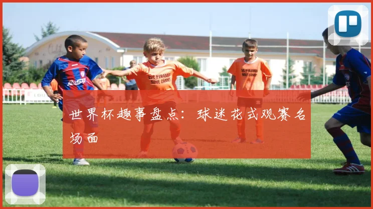 世界杯趣事盘点:球迷花式观赛名场面