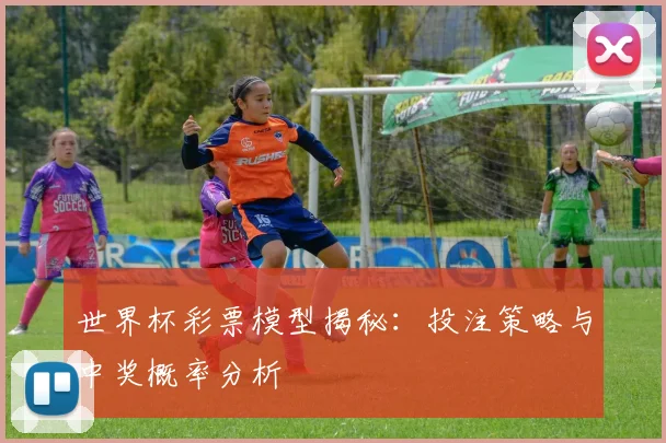世界杯彩票模型揭秘:投注策略与中奖概率分析