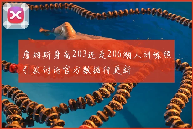 詹姆斯身高203还是206湖人训练照引发讨论官方数据待更新